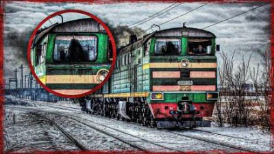 Слушайте бесплатные аудиокниги на русском языке | Audiobukva.ru Закиров Мухамет - Поездатая история Слушайте бесплатные аудиокниги на русском языке | Audiobukva.ru Закиров Мухамет - Поездатая история