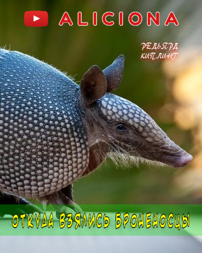 Слушайте бесплатные аудиокниги на русском языке | Audiobukva.ru Киплинг Редьярд - Откуда взялись броненосцы Слушайте бесплатные аудиокниги на русском языке | Audiobukva.ru Киплинг Редьярд - Откуда взялись броненосцы