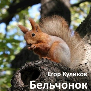 Слушайте бесплатные аудиокниги на русском языке | Audiobukva.ru Куликов Егор - Бельчонок Слушайте бесплатные аудиокниги на русском языке | Audiobukva.ru Куликов Егор - Бельчонок
