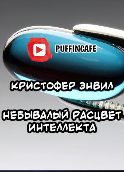 Слушайте бесплатные аудиокниги на русском языке | Audiobukva.ru Энвил Кристофер - Небывалый расцвет интеллекта