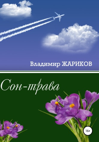 Слушайте бесплатные аудиокниги на русском языке | Audiobukva.ru Жариков Владимир - Сон-трава Слушайте бесплатные аудиокниги на русском языке | Audiobukva.ru Жариков Владимир - Сон-трава
