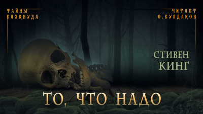 Слушайте бесплатные аудиокниги на русском языке | Audiobukva.ru Кинг Стивен - То, что надо