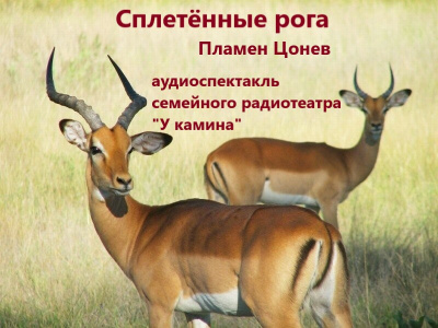 Слушайте бесплатные аудиокниги на русском языке | Audiobukva.ru Цонев Пламен - Сплетённые рога