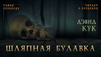 Слушайте бесплатные аудиокниги на русском языке | Audiobukva.ru Кук Дэвид - Шляпная булавка Слушайте бесплатные аудиокниги на русском языке | Audiobukva.ru Кук Дэвид - Шляпная булавка