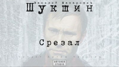 Слушайте бесплатные аудиокниги на русском языке | Audiobukva.ru Шукшин Василий - Срезал