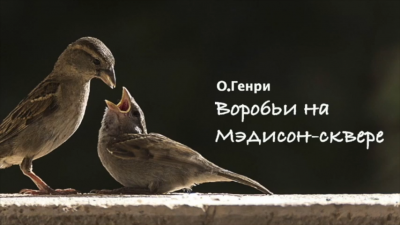 Слушайте бесплатные аудиокниги на русском языке | Audiobukva.ru О. Генри - Воробьи на Мэдисон-сквере Слушайте бесплатные аудиокниги на русском языке | Audiobukva.ru О. Генри - Воробьи на Мэдисон-сквере