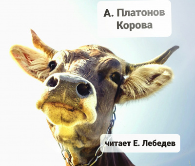Слушайте бесплатные аудиокниги на русском языке | Audiobukva.ru Андрей Платонов - Корова