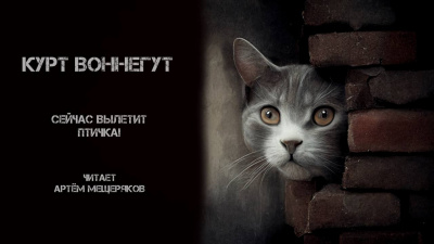 Слушайте бесплатные аудиокниги на русском языке | Audiobukva.ru Воннегут Курт - Сейчас вылетит птичка Слушайте бесплатные аудиокниги на русском языке | Audiobukva.ru Воннегут Курт - Сейчас вылетит птичка