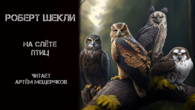 Слушайте бесплатные аудиокниги на русском языке | Audiobukva.ru Шекли Роберт - На слёте птиц