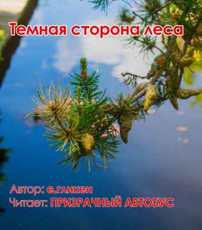 Слушайте бесплатные аудиокниги на русском языке | Audiobukva.ru Гликен Екатерина - Темная сторона леса Слушайте бесплатные аудиокниги на русском языке | Audiobukva.ru Гликен Екатерина - Темная сторона леса