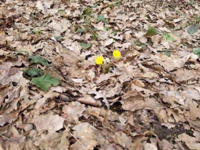 Слушайте бесплатные аудиокниги на русском языке | Audiobukva.ru Катыкова Ирина - Рефлектор