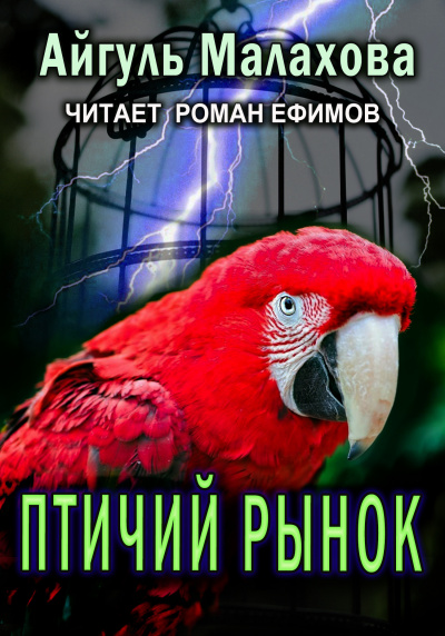 Слушайте бесплатные аудиокниги на русском языке | Audiobukva.ru Малахова Айгуль - Птичий рынок
