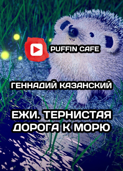 Слушайте бесплатные аудиокниги на русском языке | Audiobukva.ru Казанский Геннадий - Ежи. Тернистая дорога к морю.