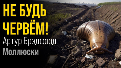 Слушайте бесплатные аудиокниги на русском языке | Audiobukva.ru Брэдфорд Артур - Моллюски