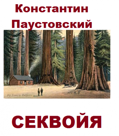 Слушайте бесплатные аудиокниги на русском языке | Audiobukva.ru Паустовский Константин - Секвойя