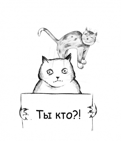 Слушайте бесплатные аудиокниги на русском языке | Audiobukva.ru Бурштейн Игорь - Коллекция номер 1 Слушайте бесплатные аудиокниги на русском языке | Audiobukva.ru Бурштейн Игорь - Коллекция номер 1