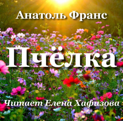 Слушайте бесплатные аудиокниги на русском языке | Audiobukva.ru Франс Анатоль - Пчёлка