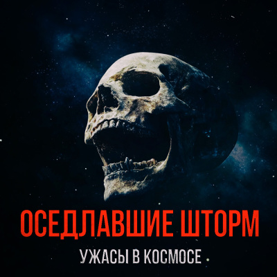 Слушайте бесплатные аудиокниги на русском языке | Audiobukva.ru Лугинин Виктор – Оседлавшие Шторм Слушайте бесплатные аудиокниги на русском языке | Audiobukva.ru Лугинин Виктор – Оседлавшие Шторм