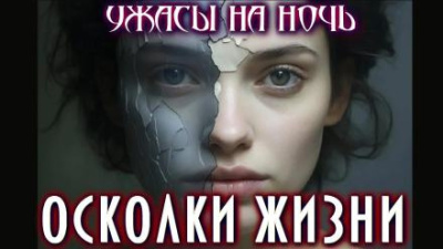 Слушайте бесплатные аудиокниги на русском языке | Audiobukva.ru Димерски Мэтт – Осколки жизни