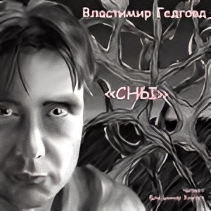 Слушайте бесплатные аудиокниги на русском языке | Audiobukva.ru Гедговд Властимир – Серия СНЫ
