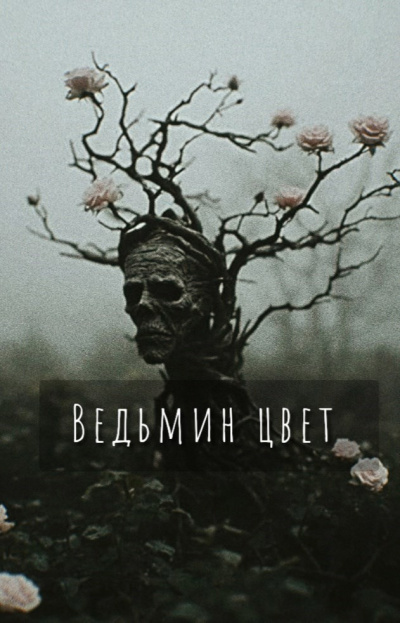 Слушайте бесплатные аудиокниги на русском языке | Audiobukva.ru Шитова Екатерина – Ведьмин цвет Слушайте бесплатные аудиокниги на русском языке | Audiobukva.ru Шитова Екатерина – Ведьмин цвет